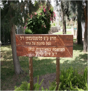 תמונה1